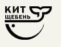 Картинка шапки страницы